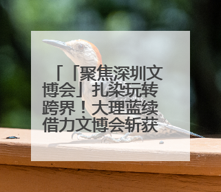 「聚焦深圳文博会」扎染玩转跨界！大理蓝续借力文博会斩获NBA等联名大单