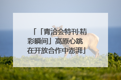「青洽会特刊·精彩瞬间」高原心跳 在开放合作中澎湃