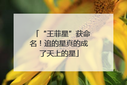 “王菲星”获命名！追的星真的成了天上的星