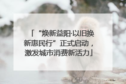 “焕新益阳·以旧换新惠民行”正式启动，激发城市消费新活力