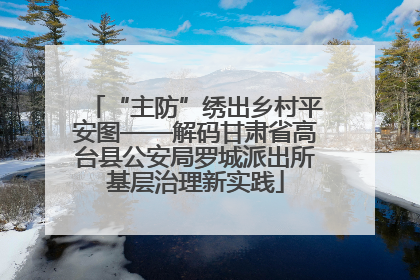 “主防”绣出乡村平安图——解码甘肃省高台县公安局罗城派出所基层治理新实践