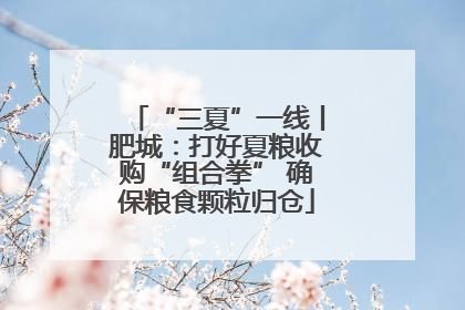“三夏”一线丨肥城：打好夏粮收购“组合拳” 确保粮食颗粒归仓