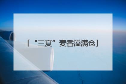 “三夏”麦香溢满仓