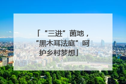 “三进”菌地，“黑木耳法庭”呵护乡村梦想