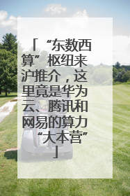 “东数西算”枢纽来沪推介，这里竟是华为云、腾讯和网易的算力“大本营”
