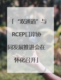 “双通道”与RCEP口岸协同发展推进会在怀化召开