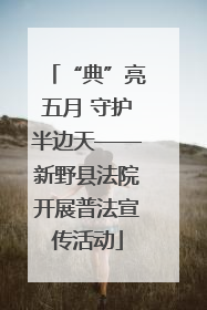 “典”亮五月 守护半边天——新野县法院开展普法宣传活动