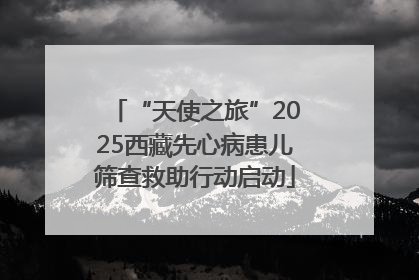 “天使之旅”2025西藏先心病患儿筛查救助行动启动