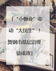 “小物业”牵动“大民生”！舞钢市基层治理显成效