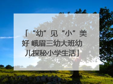 “幼”见“小”美好 峨眉三幼大班幼儿探秘小学生活