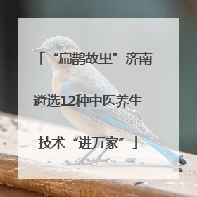 “扁鹊故里”济南遴选12种中医养生技术“进万家”
