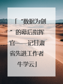“数据为剑”的幕后指挥官——记甘肃省先进工作者牛学云