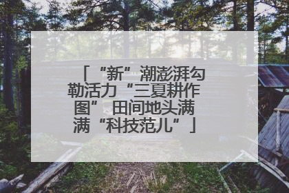 “新”潮澎湃勾勒活力“三夏耕作图” 田间地头满满“科技范儿”