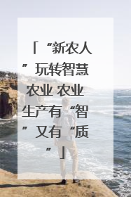 “新农人”玩转智慧农业 农业生产有“智”又有“质”