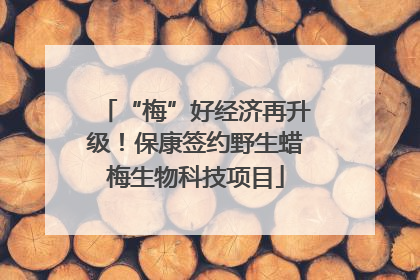“梅”好经济再升级！保康签约野生蜡梅生物科技项目