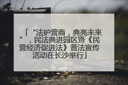 “法护营商，典亮未来”，民法典进园区暨《民营经济促进法》普法宣传活动在长沙举行