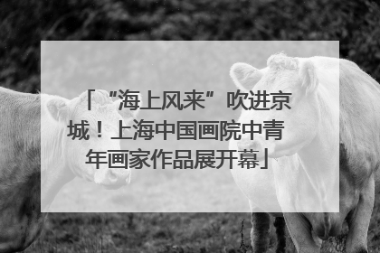 “海上风来”吹进京城！上海中国画院中青年画家作品展开幕
