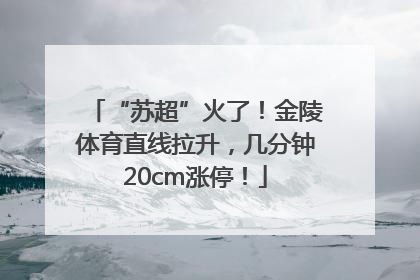 “苏超”火了！金陵体育直线拉升，几分钟20cm涨停！