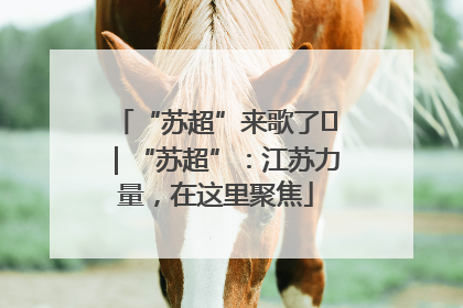 “苏超”来歌了⑪｜“苏超”：江苏力量，在这里聚焦