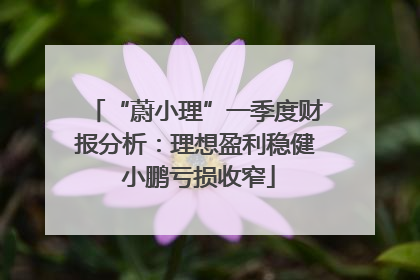 “蔚小理”一季度财报分析：理想盈利稳健 小鹏亏损收窄