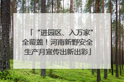 “进园区、入万家”全覆盖！河南新野安全生产月宣传出新出彩