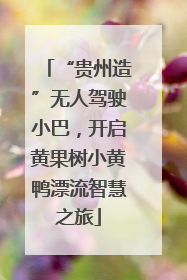 “贵州造”无人驾驶小巴，开启黄果树小黄鸭漂流智慧之旅