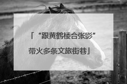 “跟黄鹤楼合张影”带火多条文旅街巷
