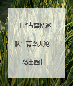 “青鸾特巡队”青岛大鲍岛出圈
