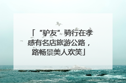 “驴友”骑行在孝感有名店旅游公路，路畅景美人欢笑