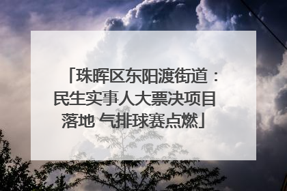 珠晖区东阳渡街道：民生实事人大票决项目落地 气排球赛点燃
