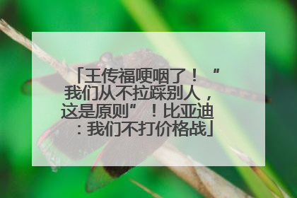 王传福哽咽了！“我们从不拉踩别人，这是原则”！比亚迪：我们不打价格战