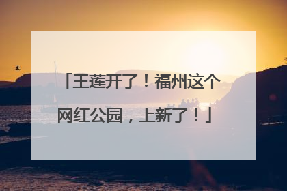 王莲开了！福州这个网红公园，上新了！