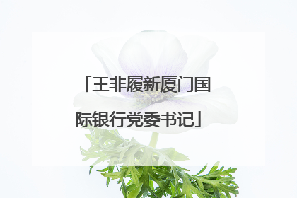 王非履新厦门国际银行党委书记