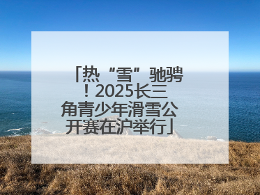 热“雪”驰骋！2025长三角青少年滑雪公开赛在沪举行