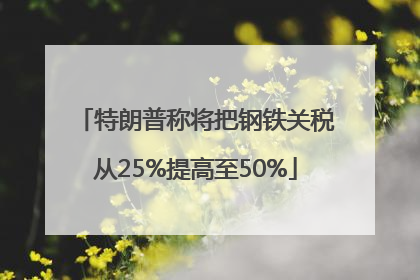 特朗普称将把钢铁关税从25%提高至50%