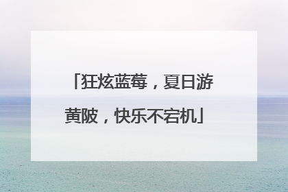 狂炫蓝莓，夏日游黄陂，快乐不宕机