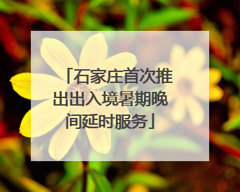 石家庄首次推出出入境暑期晚间延时服务