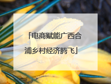 电商赋能广西合浦乡村经济腾飞
