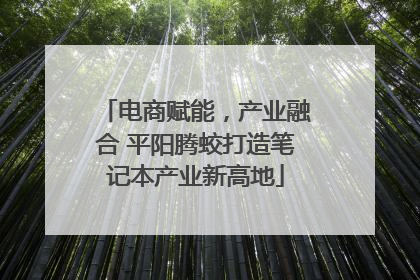 电商赋能，产业融合 平阳腾蛟打造笔记本产业新高地