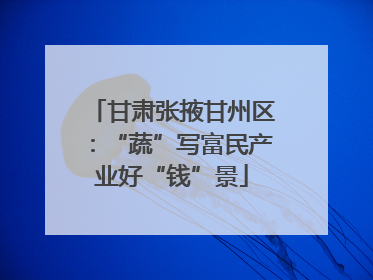 甘肃张掖甘州区：“蔬”写富民产业好“钱”景