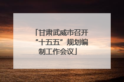 甘肃武威市召开“十五五”规划编制工作会议
