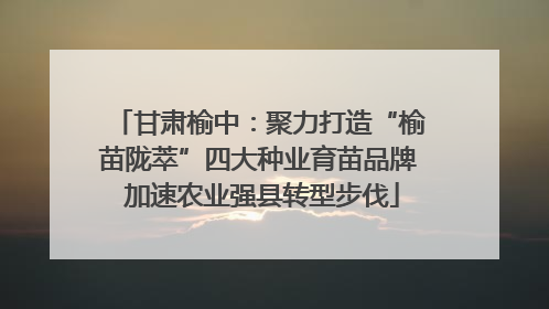 甘肃榆中：聚力打造“榆苗陇萃”四大种业育苗品牌 加速农业强县转型步伐