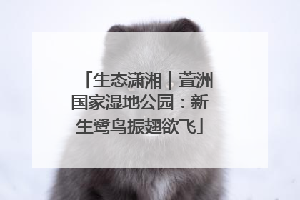 生态潇湘｜萱洲国家湿地公园：新生鹭鸟振翅欲飞