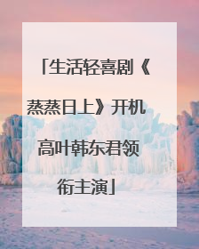 生活轻喜剧《蒸蒸日上》开机 高叶韩东君领衔主演