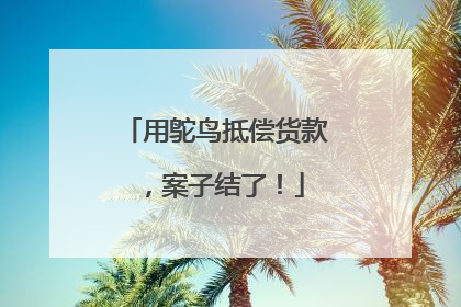 用鸵鸟抵偿货款，案子结了！