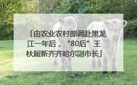 由农业农村部调赴黑龙江一年后，“80后”王杕履新齐齐哈尔副市长
