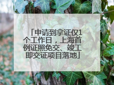 申请到拿证仅1个工作日，上海首例证照免交、竣工即交证项目落地