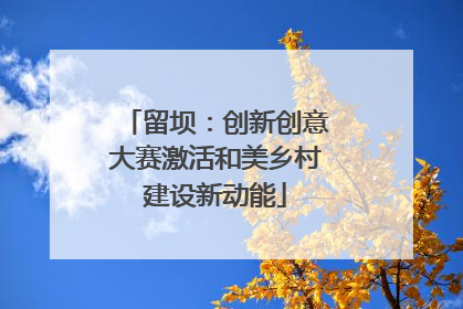 留坝：创新创意大赛激活和美乡村建设新动能