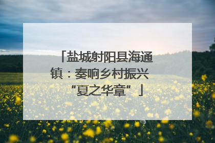 盐城射阳县海通镇：奏响乡村振兴“夏之华章”