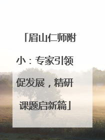 眉山仁师附小：专家引领促发展，精研课题启新篇